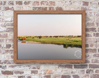Unframed Photo Print - Pasture Reflections - Montana Ranch Life Wall Art Print