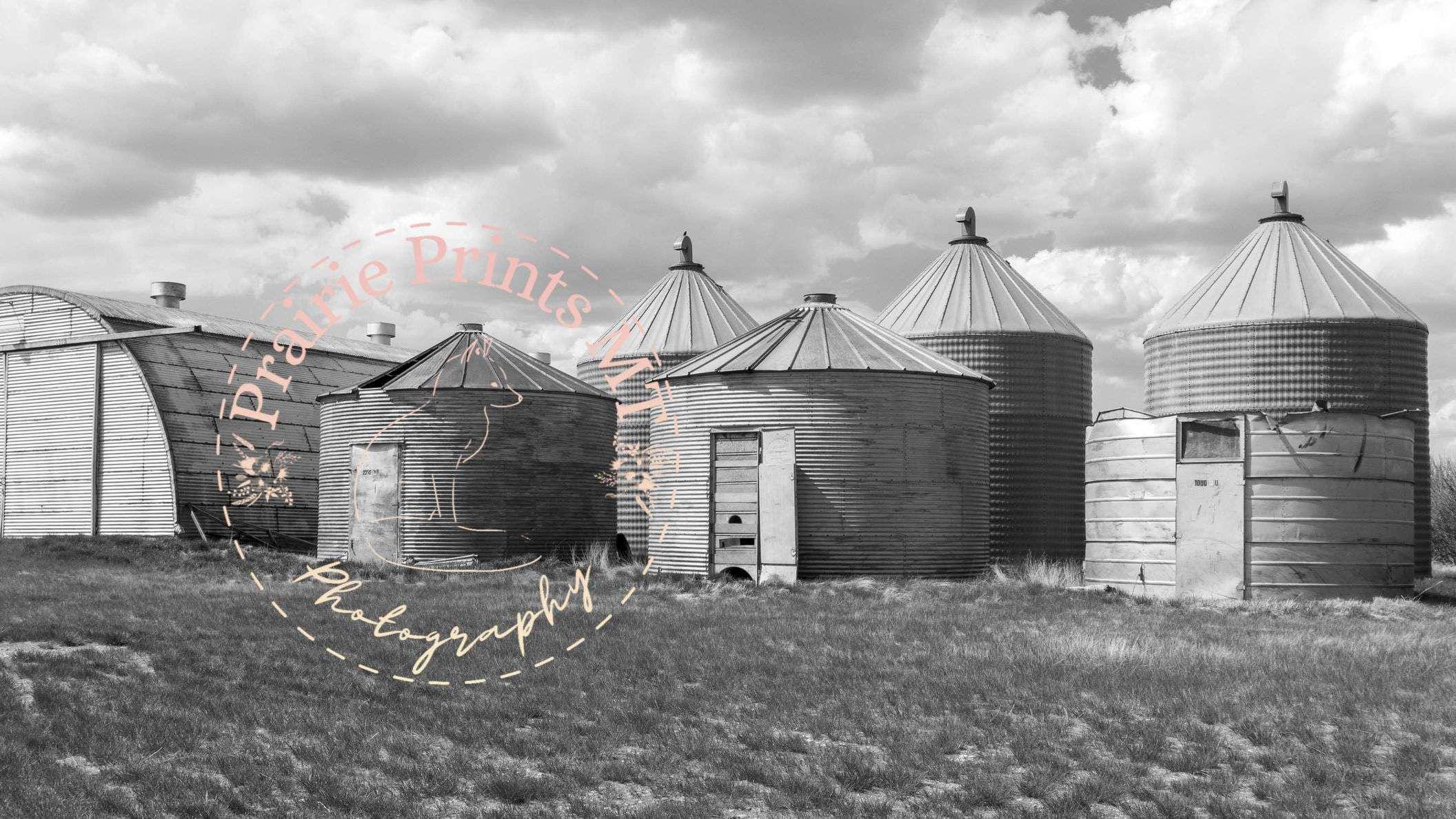12x24 inches - Steel Sentinels - Rustic Farm Photography Print of Montana Grain Bins - Image 1