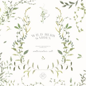 Może przedstawiać: Zestaw akwareli z botanicznymi ilustracjami dzikich ziół. Projekt zawiera ramki, aranżacje i elementy kwiatowe DIY. Tekst "Wild Herb Garden" jest wyświetlany delikatną czcionką, z dodatkowym tekstem wskazującym, że jest to kolekcja akwareli.