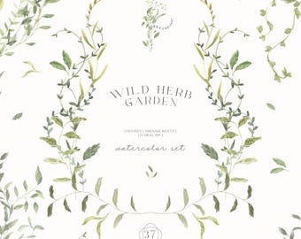 Greenery Watercolor Eucalyptus Green Frame Bright Foliage Floral Wreath Leaves Branch for Wedding Invitation clipart png