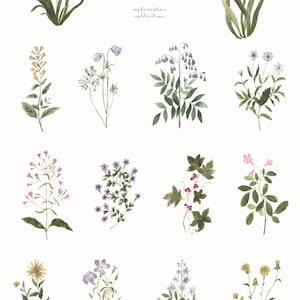 A delicate watercolor clipart collection of grandmillennial-style botanical illustrations featuring vintage flowers, ornamental frames, retro backgrounds, and coquette decorative elements in preppy pastel colors — ideal for invitations, feminine branding, journaling, or scrapbooking. grandmillennial art, coquette clipart, preppy flowers, vintage florals, botanical frame, aesthetic clipart, romantic borders, cottagecore diy, floral paper, floral clipart, coquette aesthetic, grandmillennial style,