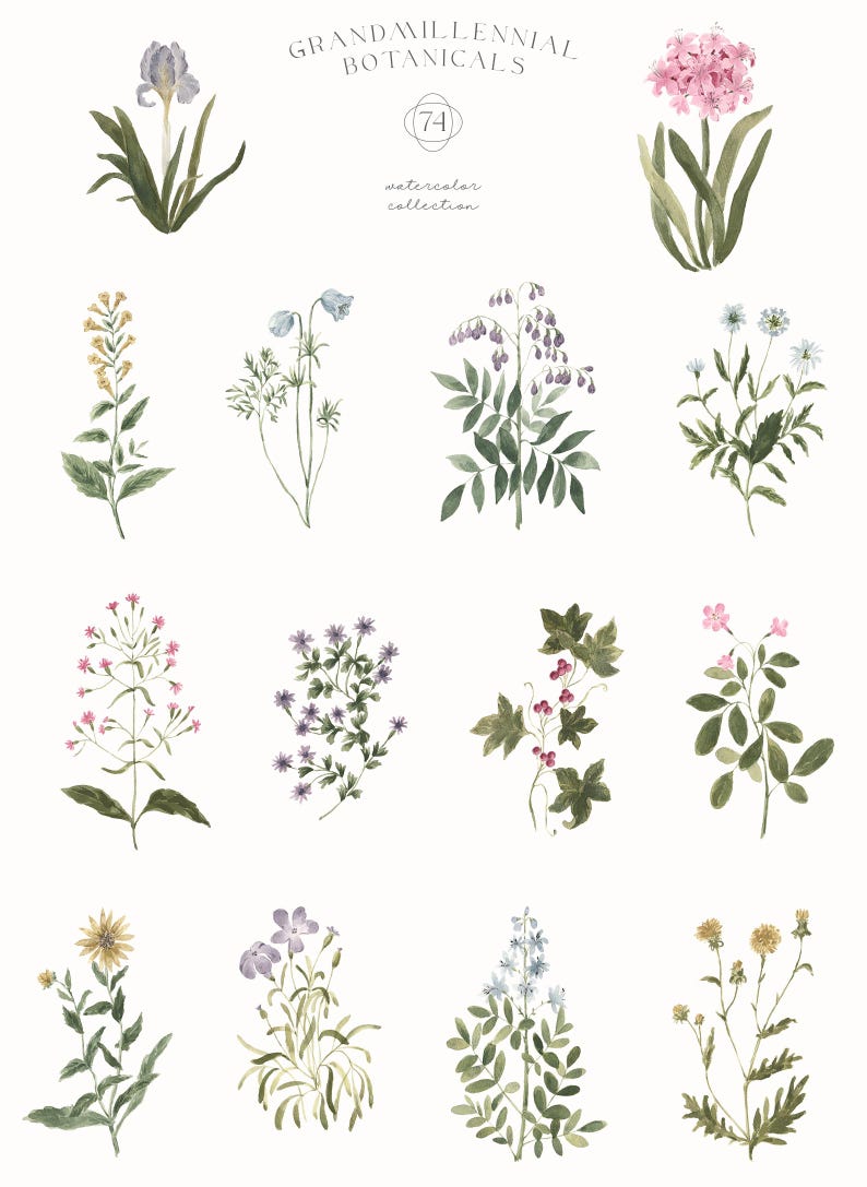 A delicate watercolor clipart collection of grandmillennial-style botanical illustrations featuring vintage flowers, ornamental frames, retro backgrounds, and coquette decorative elements in preppy pastel colors — ideal for invitations, feminine branding, journaling, or scrapbooking. grandmillennial art, coquette clipart, preppy flowers, vintage florals, botanical frame, aesthetic clipart, romantic borders, cottagecore diy, floral paper, floral clipart, coquette aesthetic, grandmillennial style,