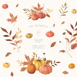 May include: A watercolour illustration of pumpkins, autumn leaves, and floral elements in orange, yellow, and brown hues. The word "PUMPKINS" is written in a delicate font, along with the text "COZY FALL CLIPART, FLORAL ELEMENTS, ARRANGEMENTS, FRAMES, watercolor collection."
