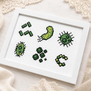 May include: A framed cross-stitch artwork showing six green and yellow microbe designs. The microbes are displayed on a white background within a white frame. A unique piece of home decor, perfect for science enthusiasts.