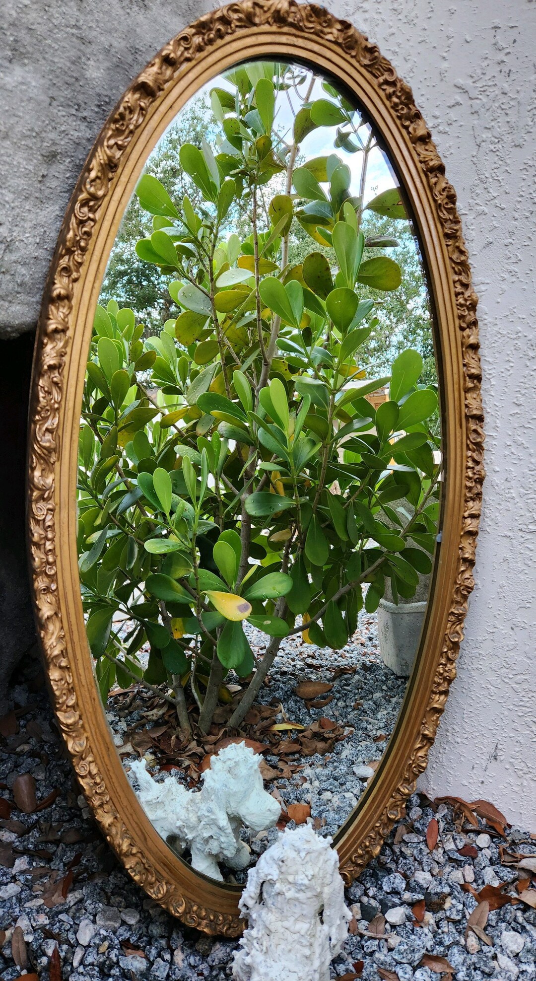 Large Vintage Ornate Oval Mirror/ Mirror/ Salon Mirror/ Wall Mirror Etsy