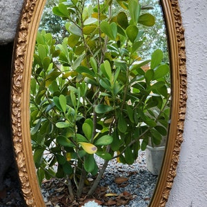 Large Vintage Ornate Oval mirror/ Mirror/ salon Mirror/ wall mirror image 1