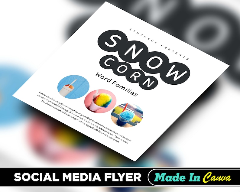 Snow Cone Flyer DIY Canva Snow Cone Flyer Template Editable Etsy