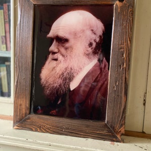 Charles Darwin