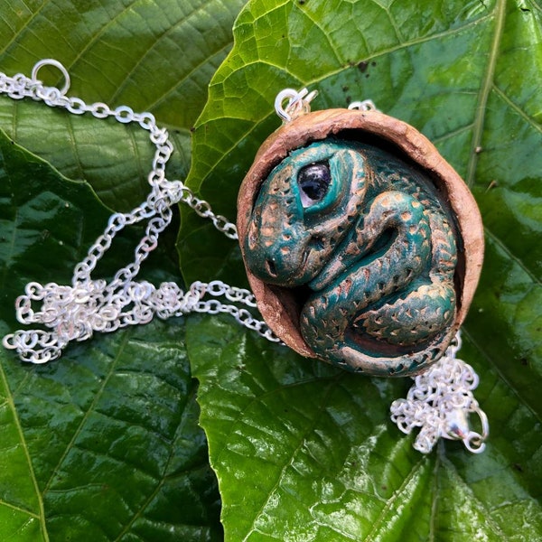 Baby dragon in Walnut shell, miniature pendant dragon, chaine, magic necklace