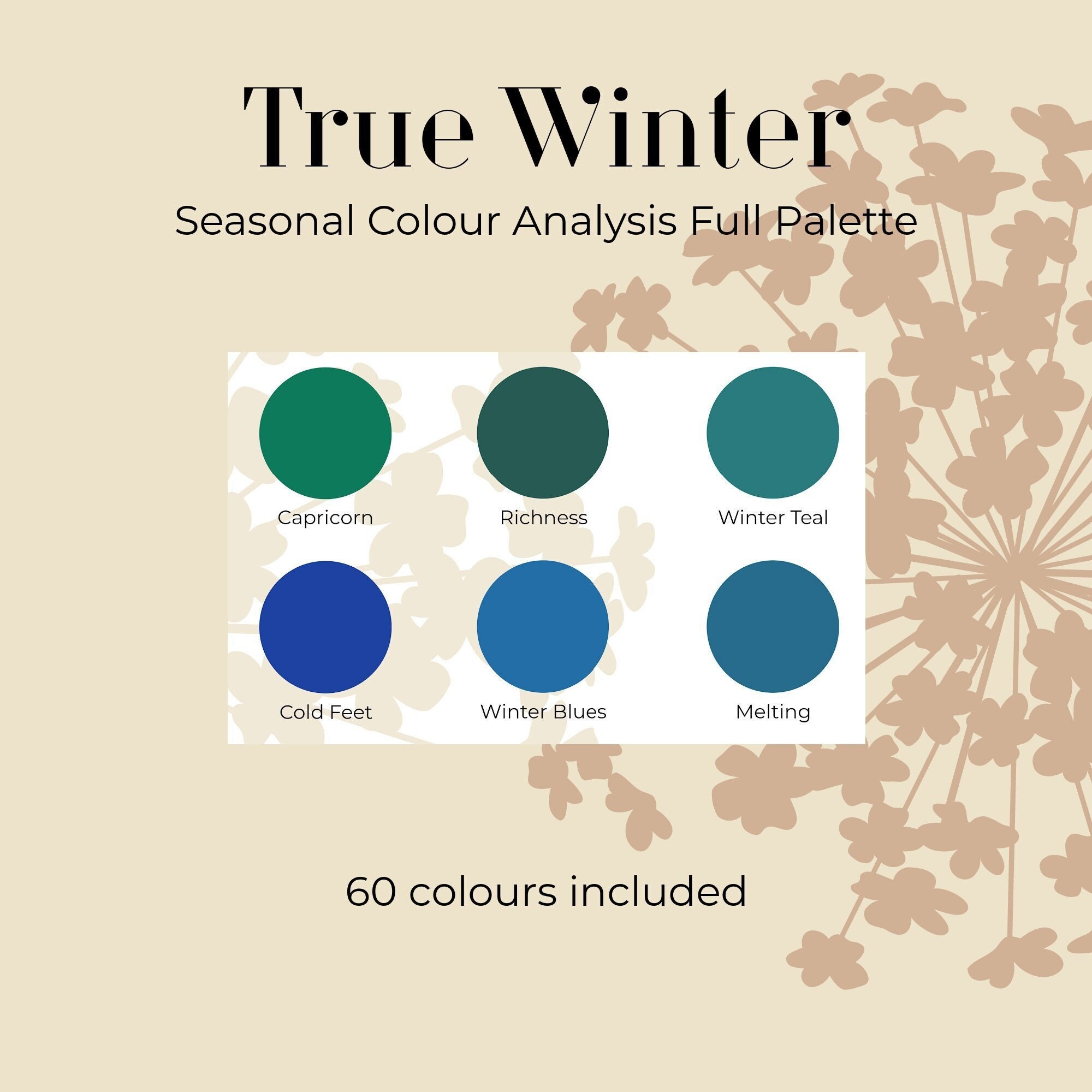 True Winter Personal Seasonal Colour Analysis Full Palette Etsy