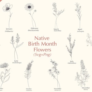 Native Birth month flowers Svg | Australian BirthMonth Flowers | Flowers svg | Hand drawn flower svg | Svg Bundle |Commercial use included