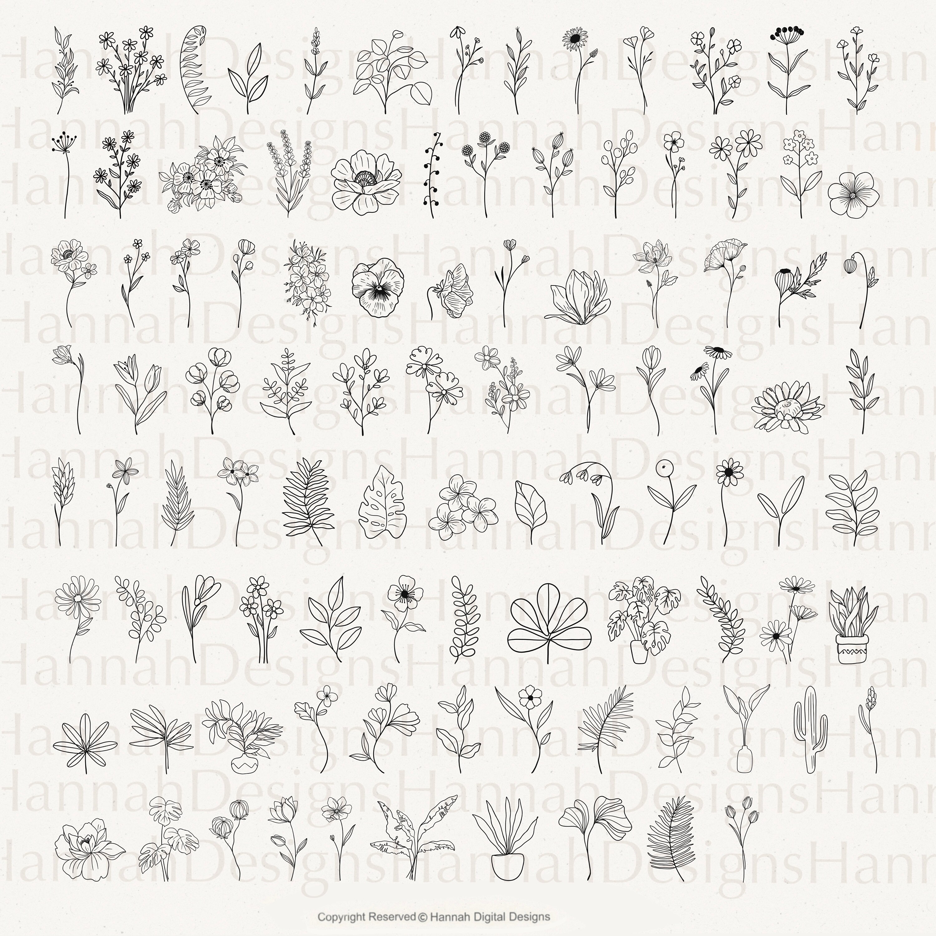 200 Line Art Botanical Procreate Stamps: Floral & Leaf Designs - Etsy