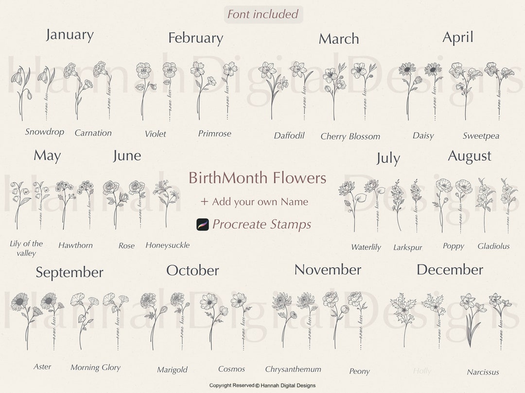 Birth Month Flower Procreate Stamps: Floral Brush Set (commercial Use ...