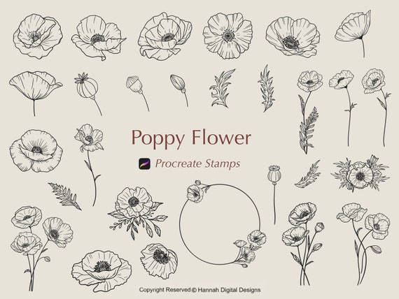 100 Procreate Flower Stamps Procreate Flower Stamps Floral Procreate  Procreate Botanical Flower Stamps Procreate Flower Brushes 