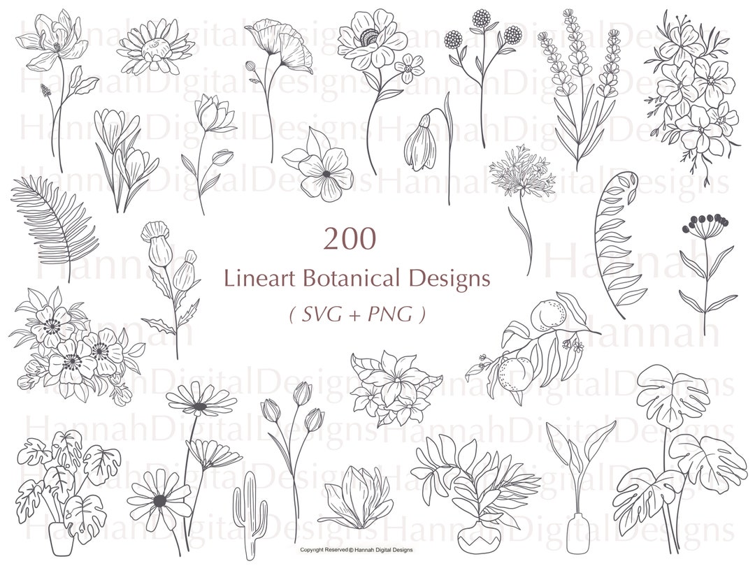 BOTANICAL ART 【import品】 71VKivy8YRL._AC_SY200_QL15_.jpg