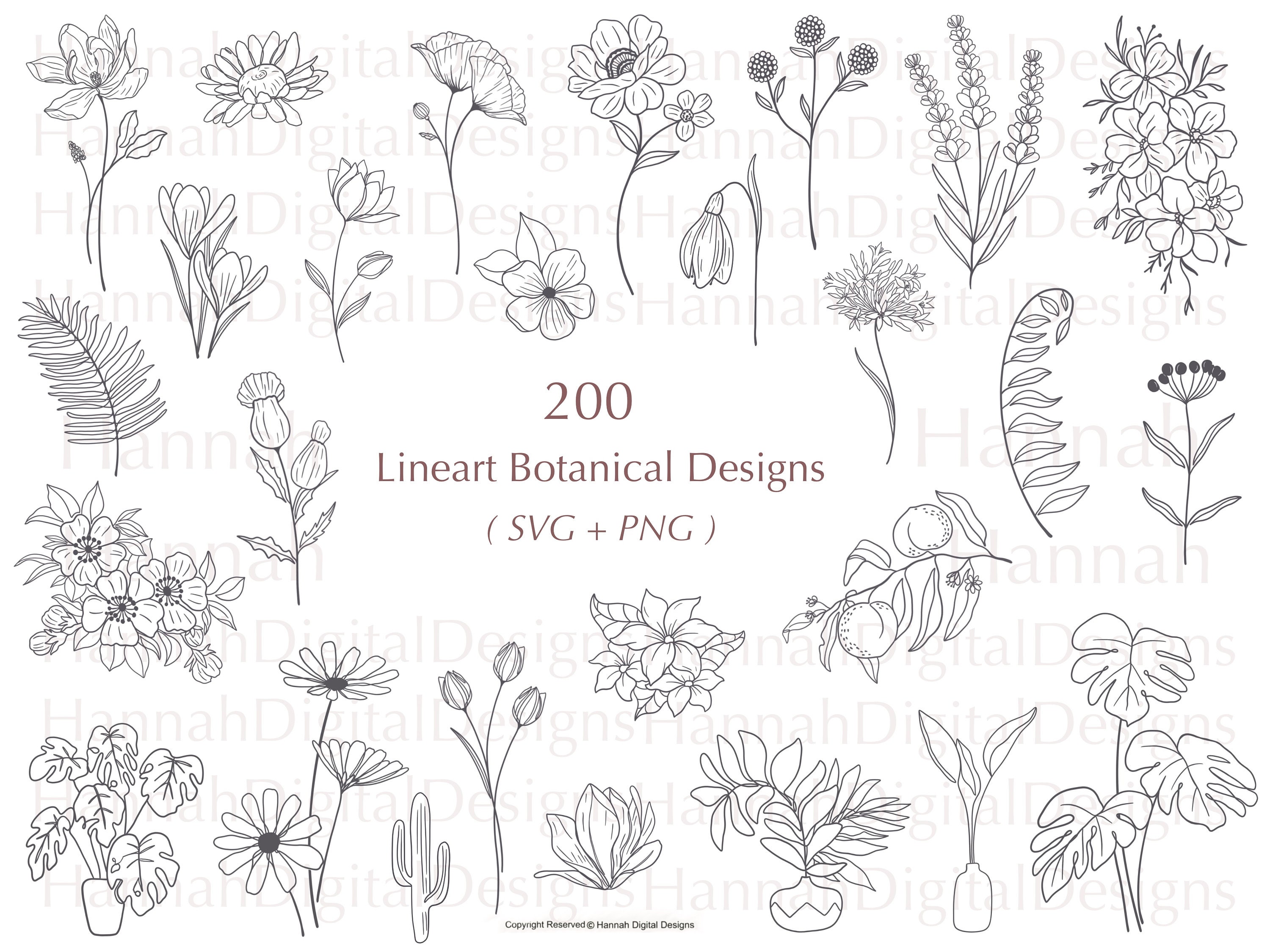 200 Botanical Line Art Designs: Flower SVG Bundle (SVG, PNG)