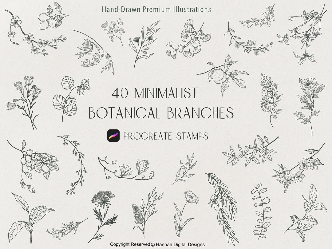 Procreate Floral Stamps: 40 Minimalist Botanical Branches (digital ...