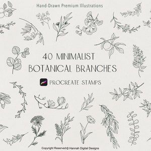May include: A set of 40 minimalist botanical branch illustrations, ideal for creating digital art and designs. The illustrations are hand-drawn and come in a Procreate stamp format.
