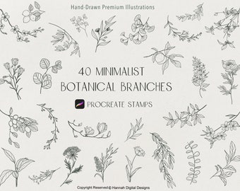 Procreate Minimalist Floral Branches | Procreate botanical | Procreate Flower | Procreate Stamps | Olive branch | Hand drawn flowers