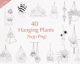 40 Hanging Plant SVG Bundle: Botanical Designs (Commercial Use)