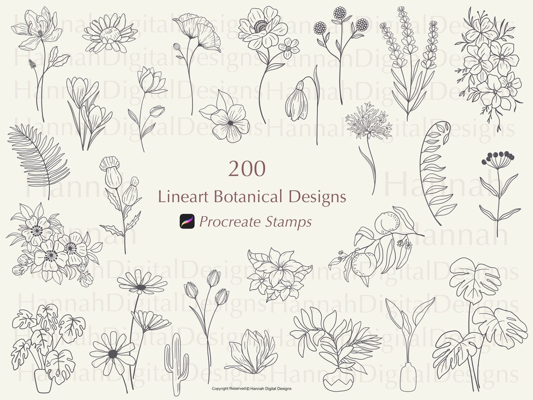 200 Line Art Botanical Procreate Stamps: Floral & Leaf Designs - Etsy