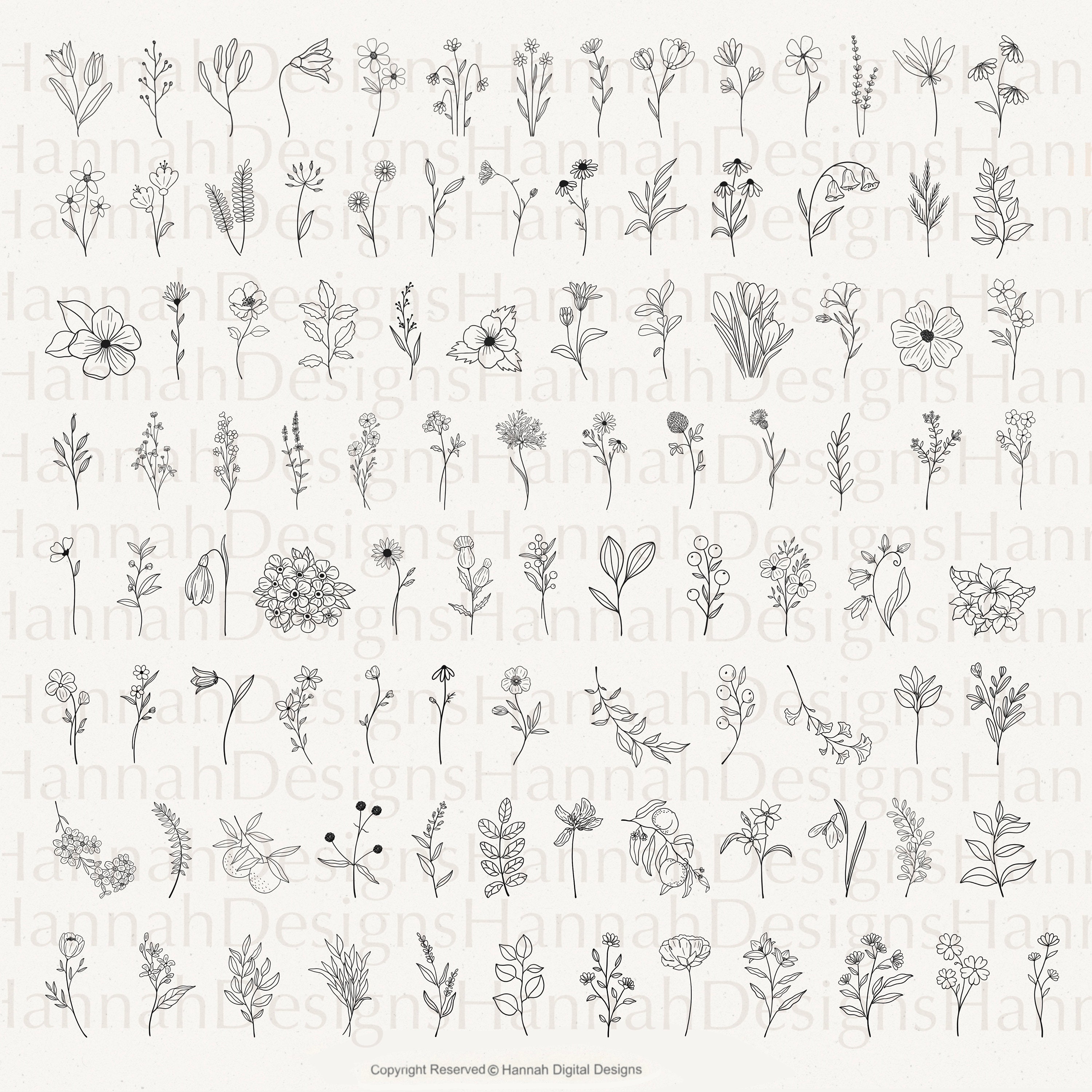 200 Line Art Botanical Procreate Stamps: Floral & Leaf Designs - Etsy