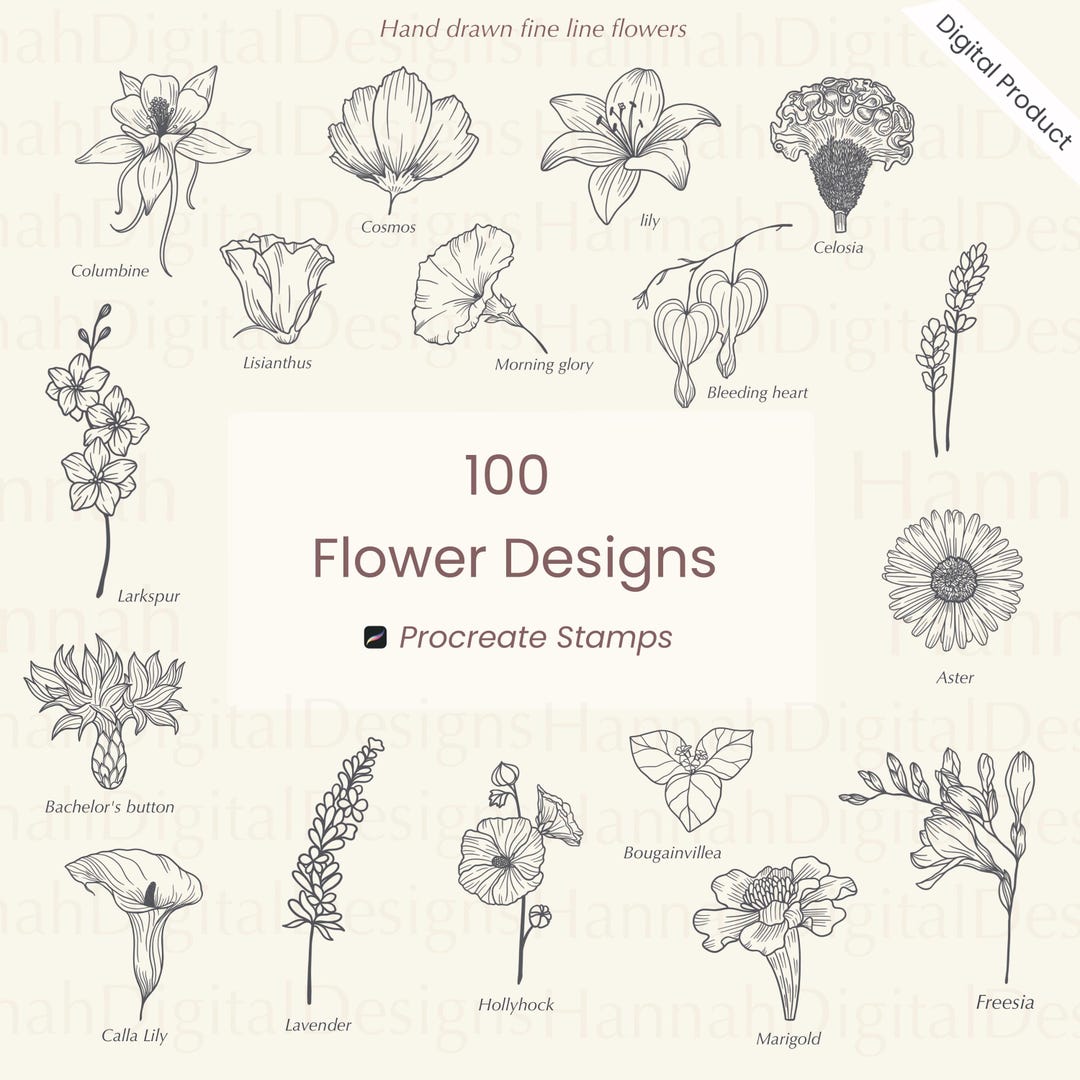 100 Hand Drawn Flower Stamps: Botanical Procreate Brushes (digital ...