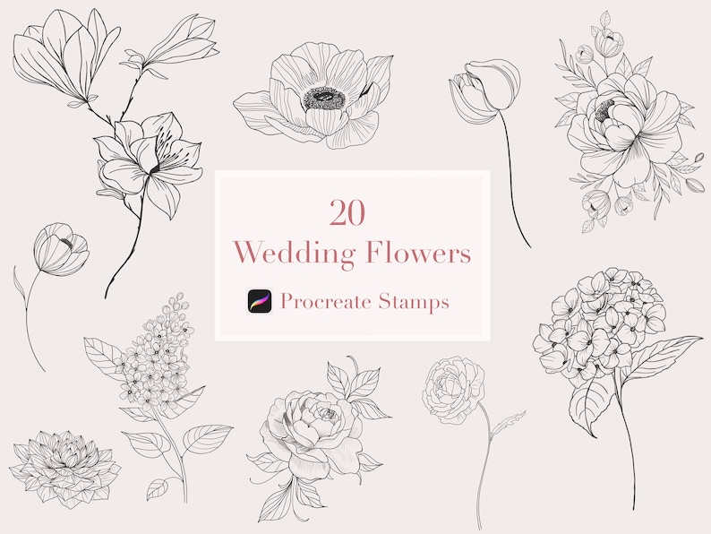 Wedding Flower Stamps Procreate Flowers Procreate Peony Etsy UK