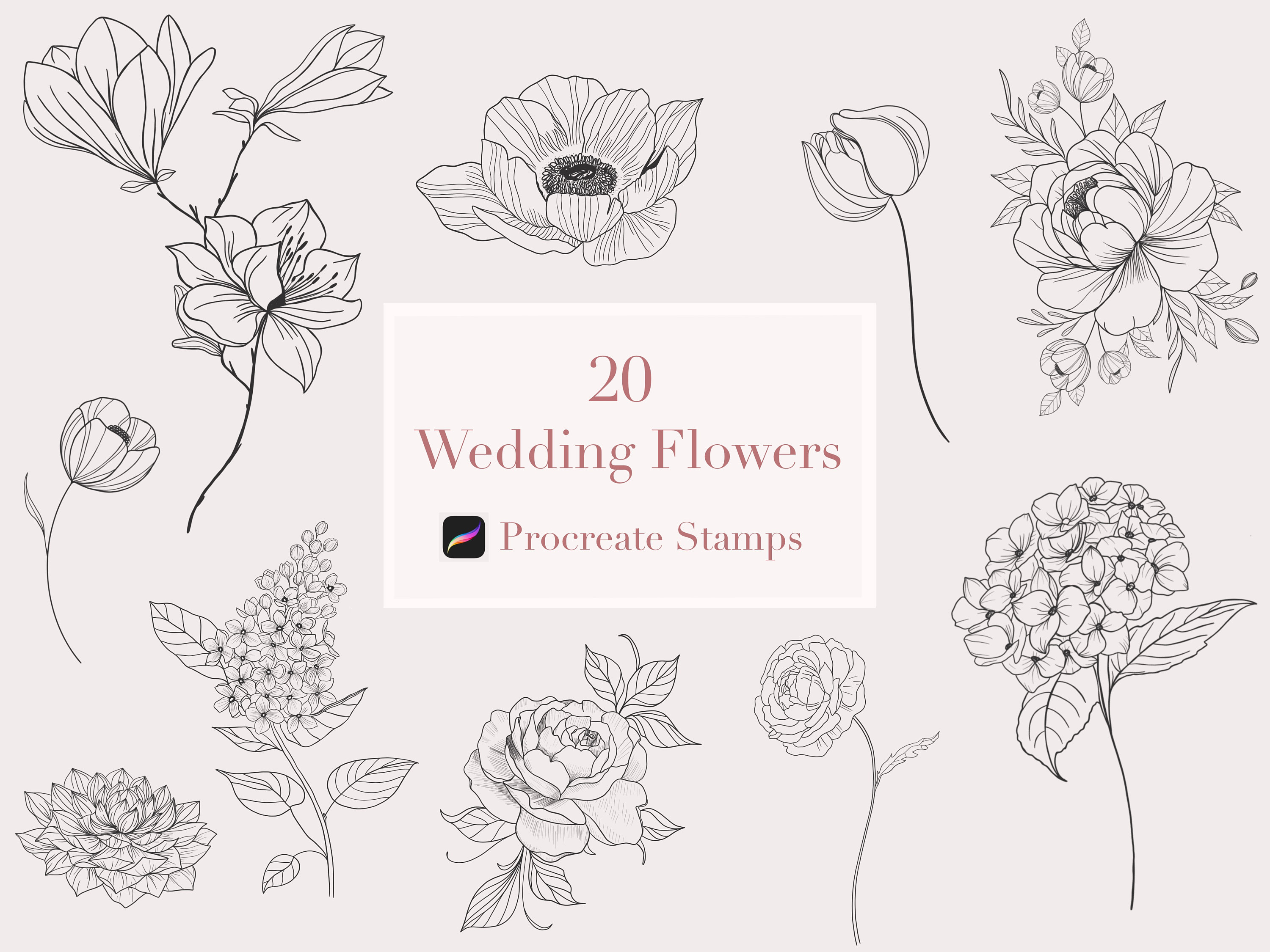 Wedding Flower Stamps Procreate Flowers Procreate Peony Etsy