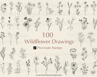May include: A collection of 100 wildflower drawings in black line art. The image includes various floral illustrations, with the text "100 Wildflower Drawings" and "Procreate Stamps".