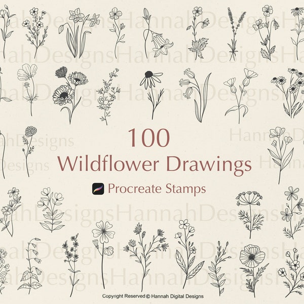 Procreate Wildflower Stamps | Wildflower Stamps | Procreate Flower | Procreate Botanical | Floral Stamps | Procreate Stamp Bundle |Procreate
