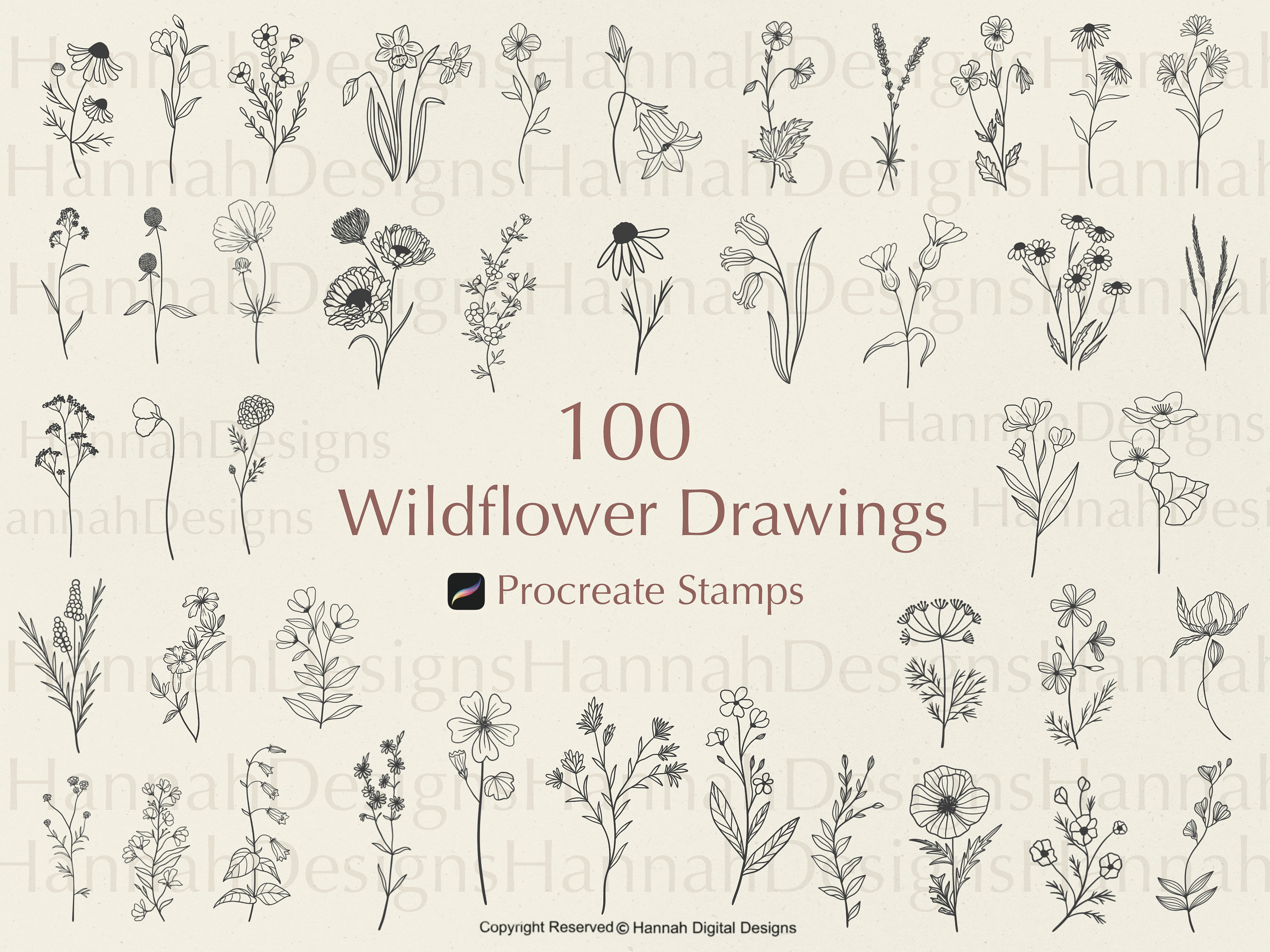 100 Procreate Flower Stamps Procreate Flower Stamps Floral Procreate  Procreate Botanical Flower Stamps Procreate Flower Brushes 