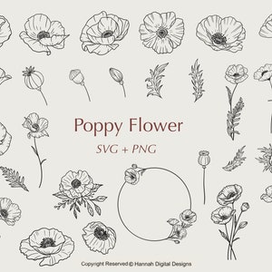 Poppy svg bundle | Fleur svg | | svg floral | botanique svg | clipart de fleurs bouquet svg | fleur sauvage svg | utilisation commerciale svg | fichiers svg