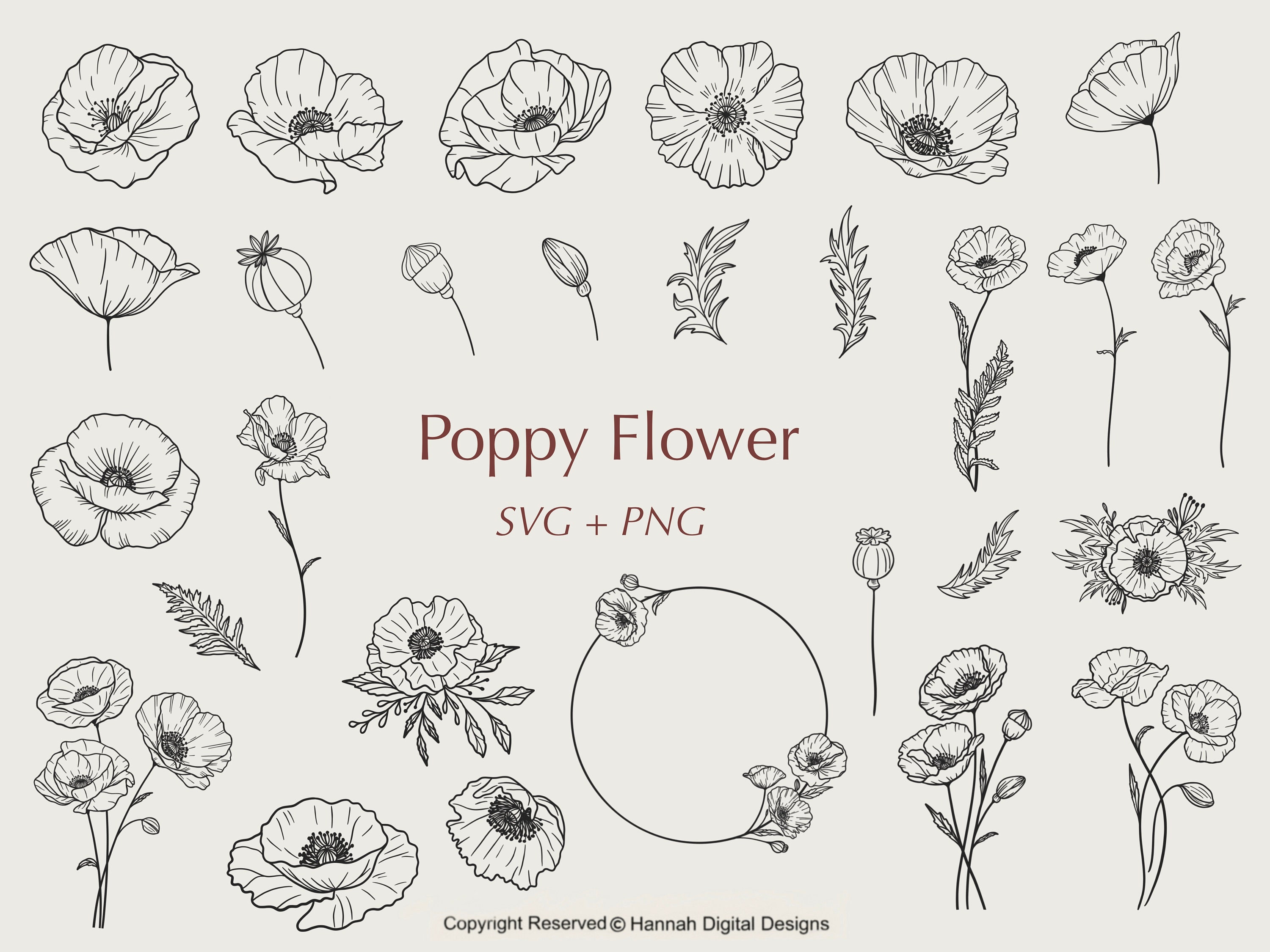 Poppy Line Drawing
