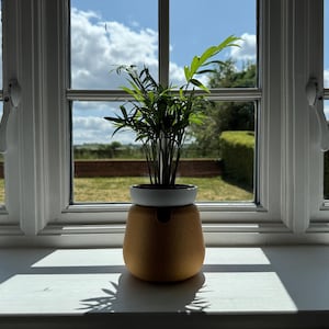 Solstice – Vaso Autoirrigável. Vaso Moderno Impresso em 3D para Interior com Reservatório Integrado.