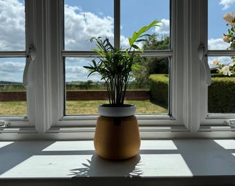 Op de afbeelding: Een kamerplant met groene bladeren staat op een witte vensterbank voor een raam. De pot is lichtoranje met een witte rand. Het raam biedt uitzicht op een zonnige dag met een blauwe lucht en een groen landschap.