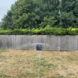 May include: A lawn sprinkler in a yard, spraying water. The sprinkler is black and blue, positioned in front of a wooden fence and green trees. The grass is dry and brown.