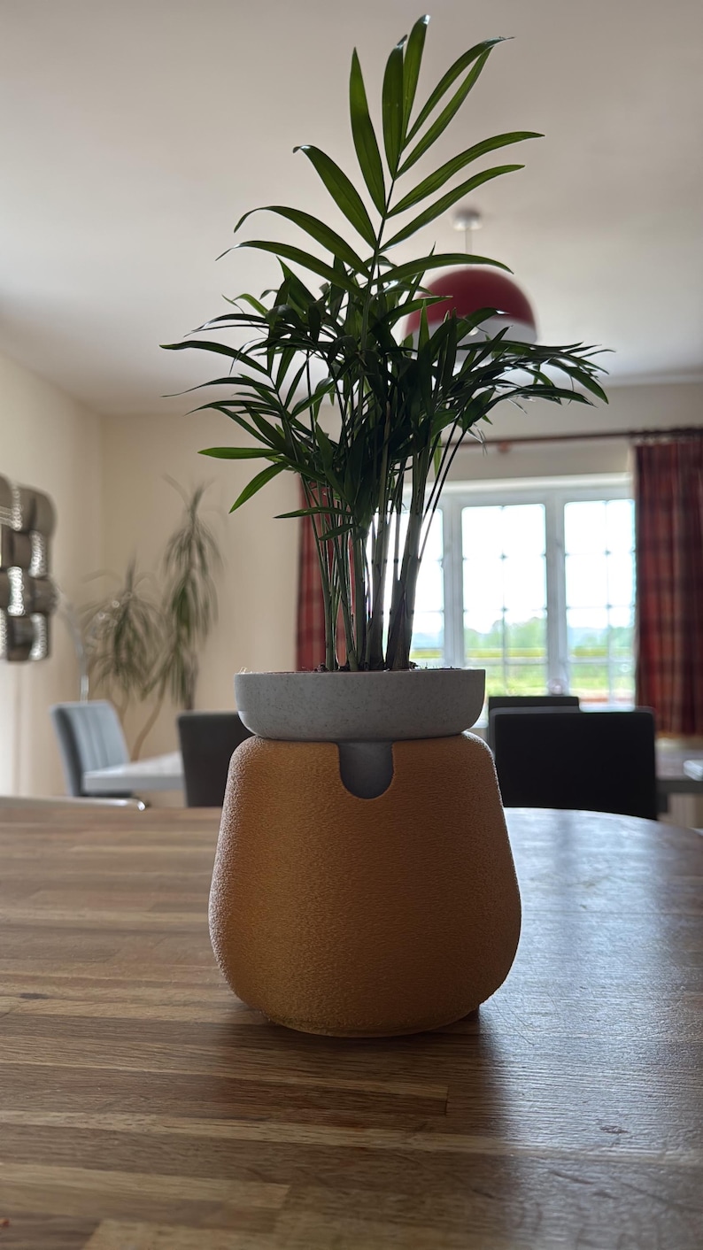 May include: A small potted plant with long, green leaves sits atop a two-toned planter. The planter has a light gray top and a textured, orange-brown base. The plant and planter are on a wooden table.