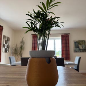 May include: A small potted plant with long, green leaves sits atop a textured, orange-brown ceramic planter. The planter has a gray, circular top and a rounded, bulbous base. The plant and planter are on a wooden table in a well-lit room.
