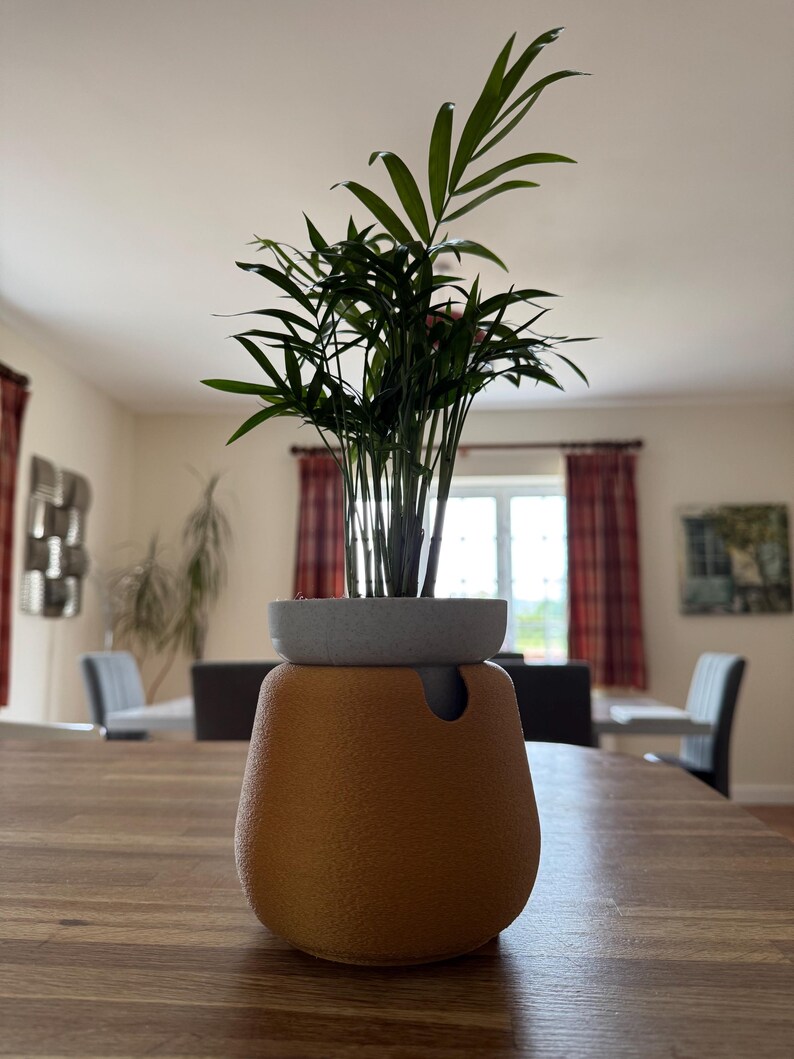 May include: A small potted plant with long, green leaves sits atop a textured, orange-brown ceramic planter. The planter has a gray, circular top and a rounded, bulbous base. The plant and planter are on a wooden table in a well-lit room.