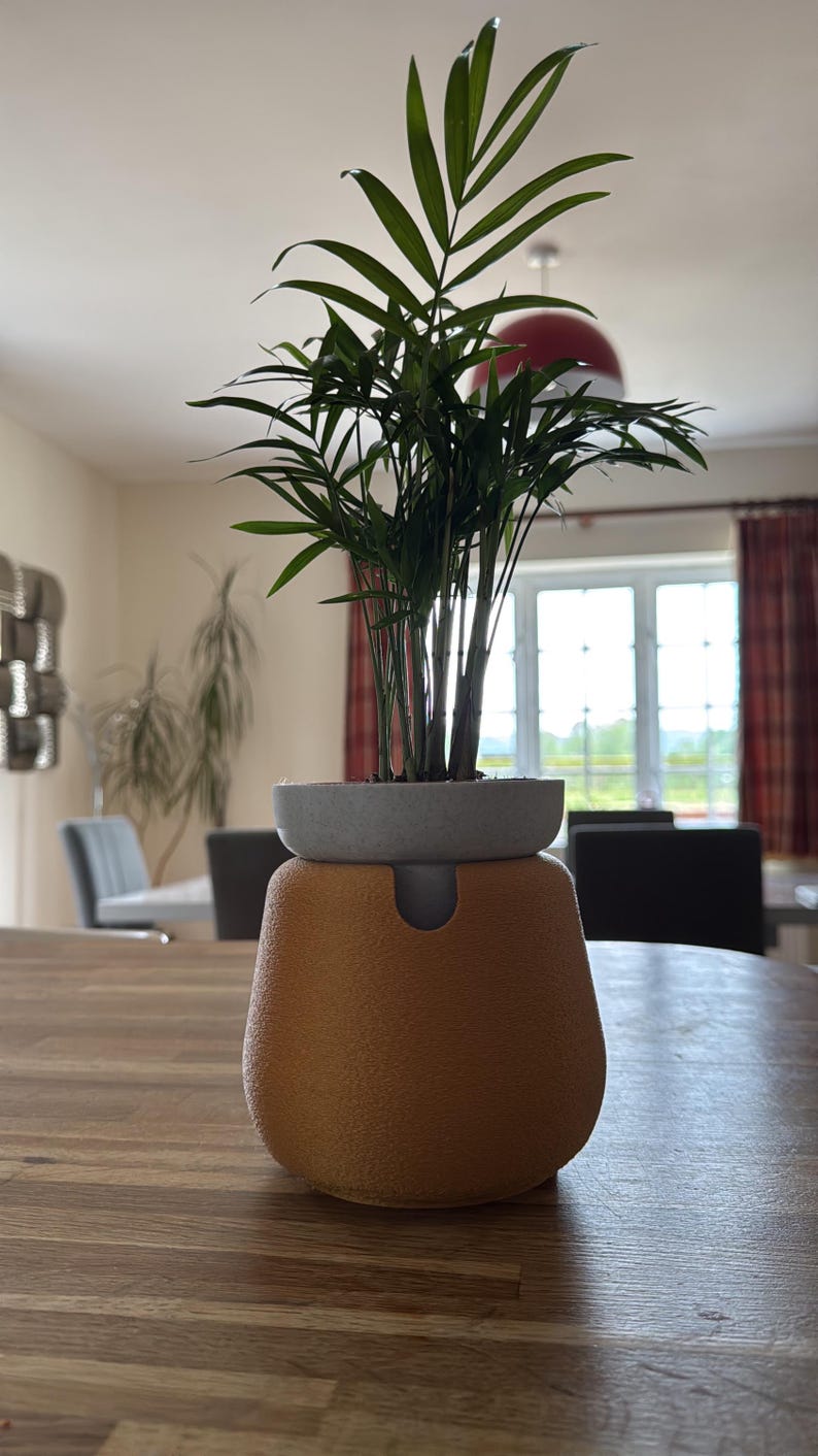May include: A small potted plant with long, green leaves sits atop a two-toned planter. The planter has a light gray top and a textured, orange-brown base. The plant and planter are on a wooden table.