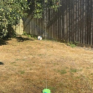 May include: A backyard scene featuring a colorful water sprinkler spraying water. A soccer ball sits on the dry grass. A wooden fence and a tree with green apples are in the background. The sprinkler is connected to a blue hose.