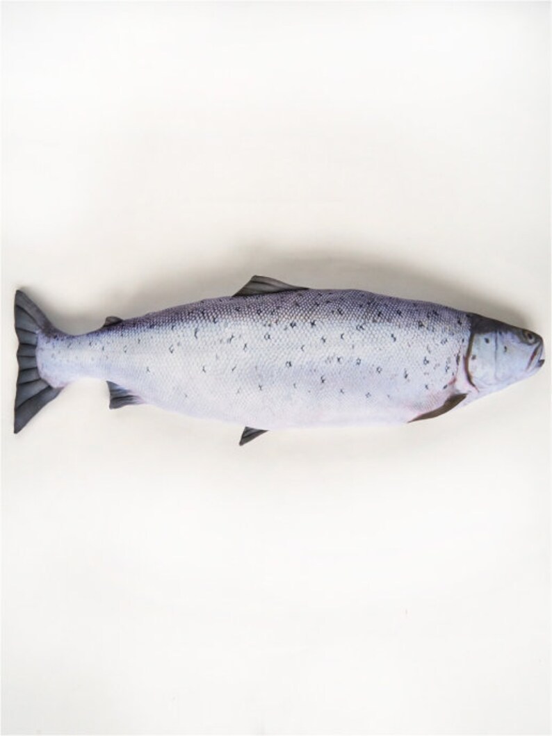 salmon fish pillow