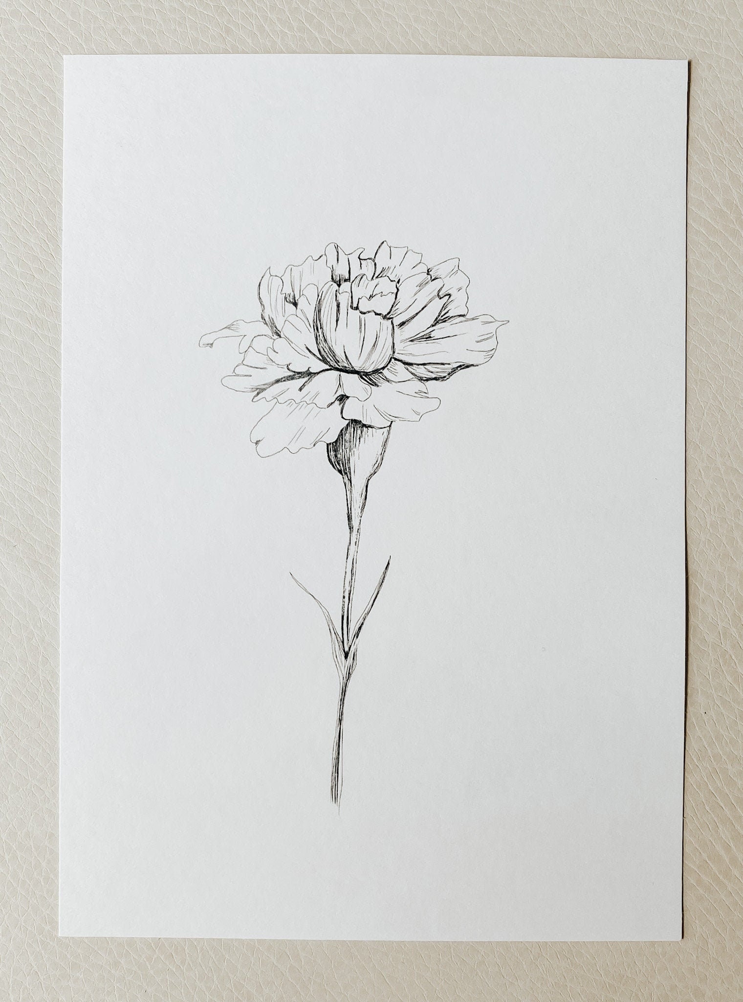 Carnation Tattoo - Etsy Carnation Tattoo - Etsy