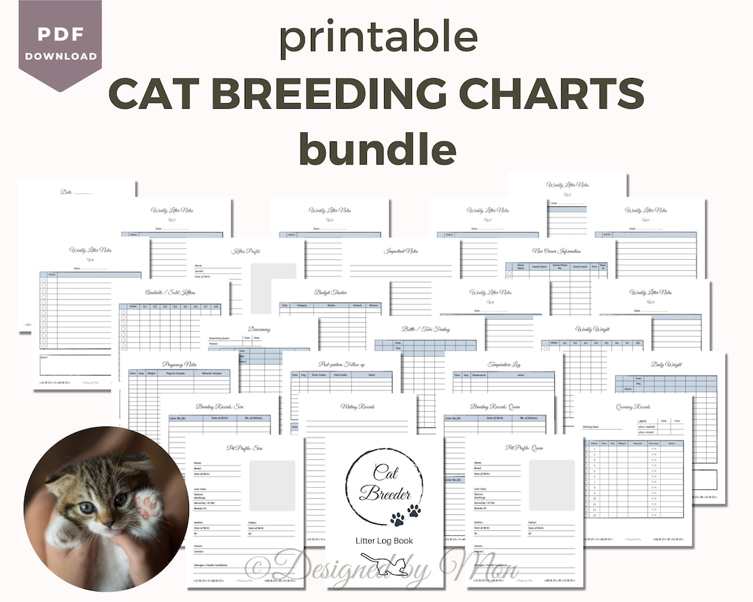 Cat Breeding Charts Bundle for Cat Breeders Cat Breeder Forms, Whelping