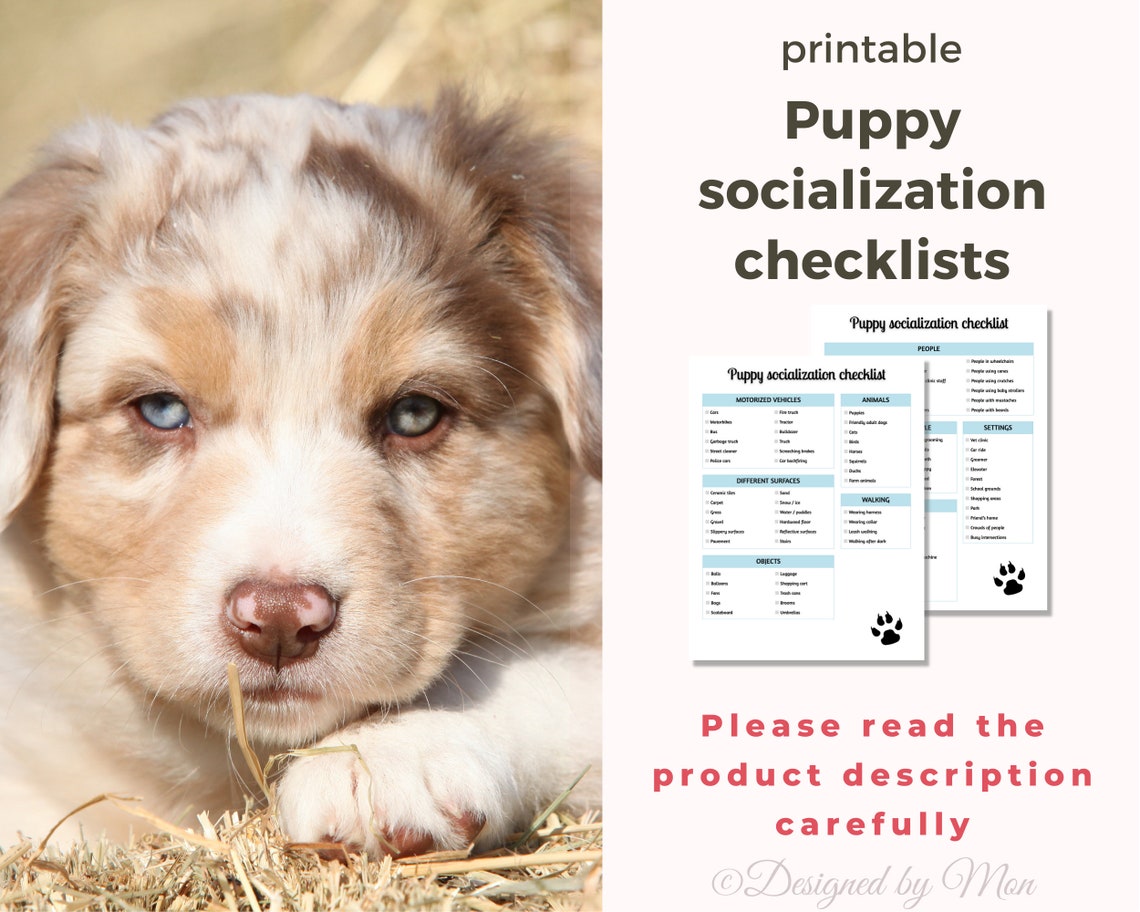 Puppy Socialization Checklist New Puppy Owner, Pet Parent Essentials ...