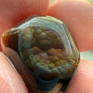 May include: A polished fire agate gemstone featuring a smooth, rounded surface with a translucent brown base and iridescent, botryoidal internal structures that display shifting golden, orange, and green hues when viewed under light.