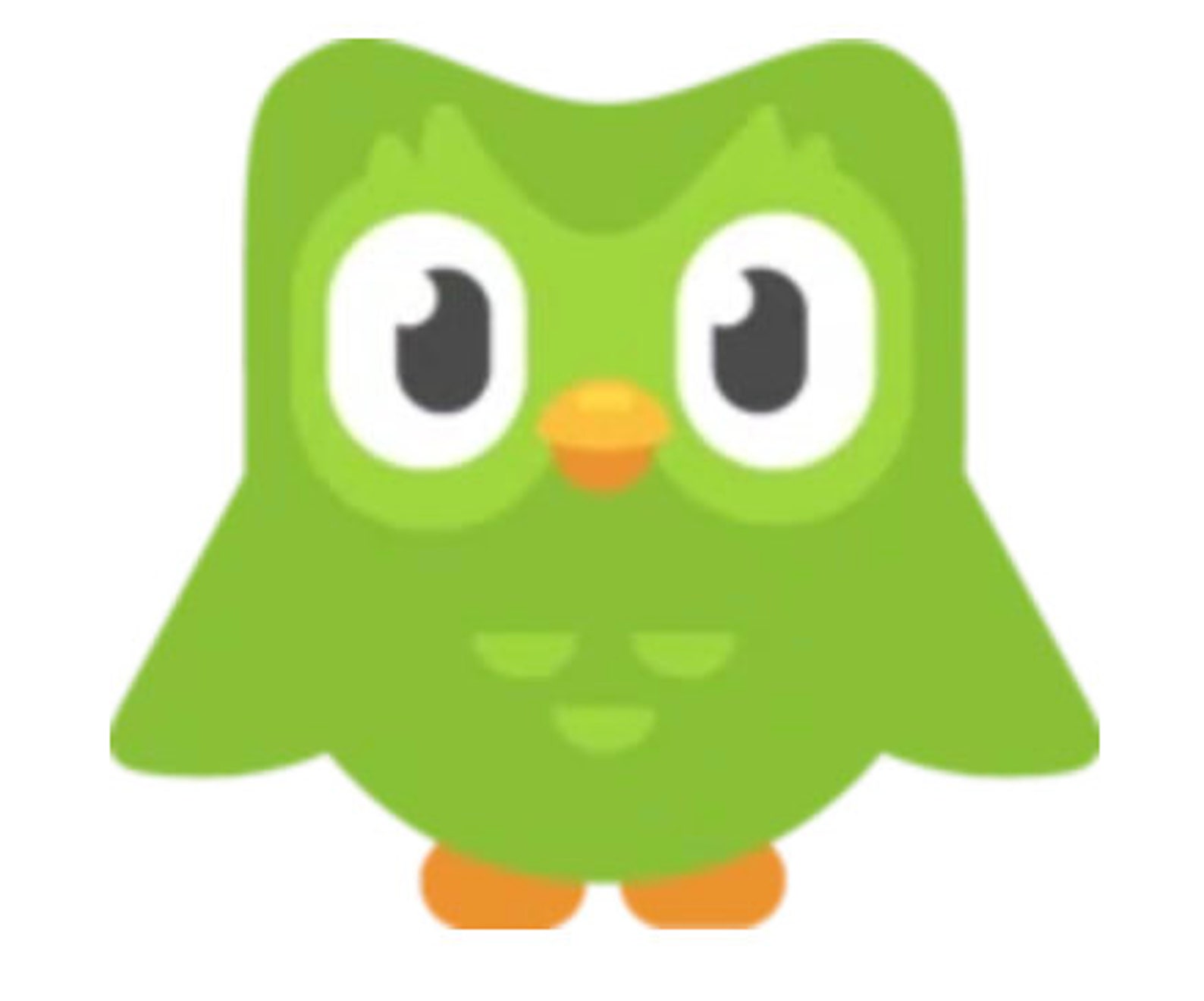 owl duolingo owl duolingo