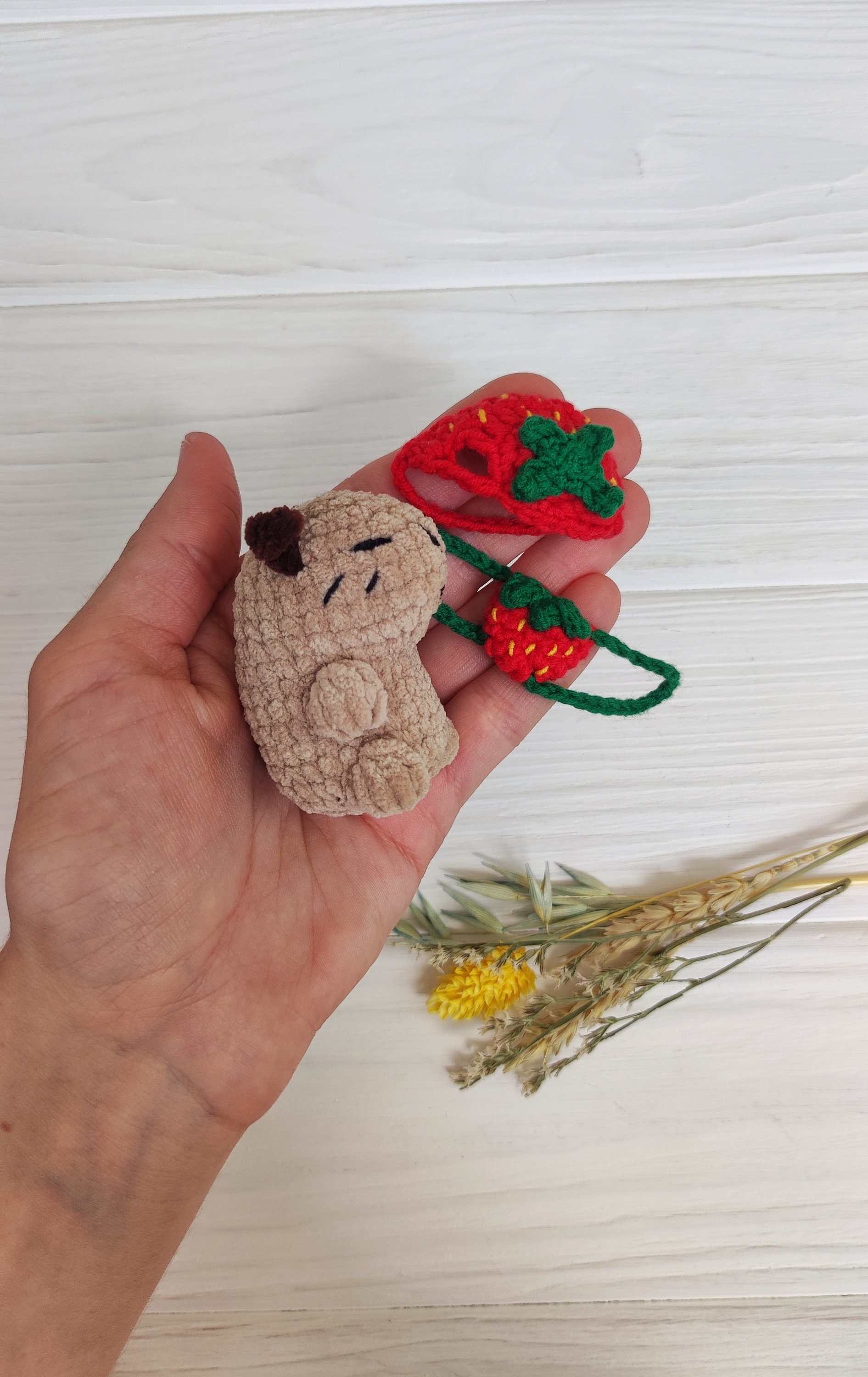 Peluche Capibara Con Ropa Y Accesorios – Set De 9 Piezas De 23 Cm, Suave Y Regalo Kawaii Para Todas Las Edades