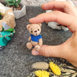 Micro Taschenfreund Teddybär im t-Shirt. Sammler Spielzeug. Niedliches Miniatur Geschenk für Mädchen. Reizendes Plüschminitier für Puppe.